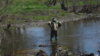 DSC03217.JPG