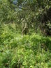 DSC03761.JPG