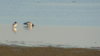 DSC00119.JPG