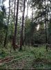 20211224_175731.jpg