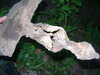 DSC06112.JPG