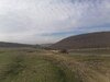 IMG_20240201_122849.jpg