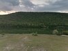 IMG_20220511_194641.jpg