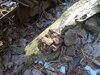DSC01915.JPG