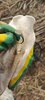 IMG_20250417_155148_127.jpg