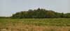 IMG_20250605_141917_663.jpg