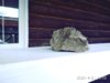 IMG_20200421_130844.jpg