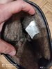 IMG_20201125_180830.jpg