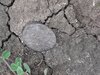 20201129_120956.jpg