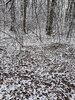 20210109_114344.jpg