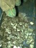 2013-09-26 18-17-02.jpg