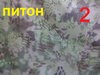 питон.jpg