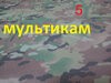 мультикам.jpg
