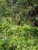 DSC03761.JPG