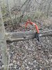 IMG_20210428_152831.jpg
