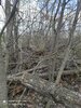 IMG_20210428_152832.jpg