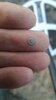 IMG-20210402-WA0051.jpeg